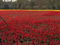 -上海市龙华烈士陵园