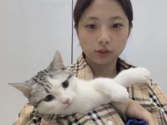 -pd派德宠物中心医院24H急重症·眼科中心·血液透析中心(嵩山北路店)