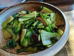 香菇炒青菜-汤河清真餐馆