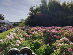-洛阳市隋唐城遗址植物园