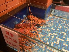 水产区-广东道至正餐厅(区庄店)