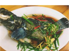 -阿古海鲜大排档(青澳湾自然之门六年好店)