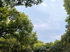 -吴山景区