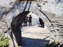 -大槐树寻根祭祖园