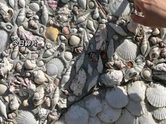 -东极岛景区