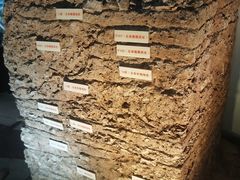 -南越王博物院(王宫展区)