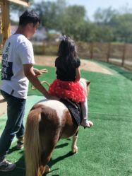 -萌宠亲子动物乐园(槐房万达店)