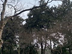 -闻莺馆(柳浪闻莺店)