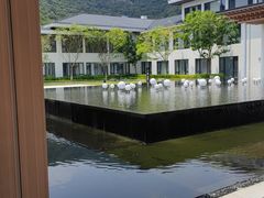 -象山黄金海岸雷迪森酒店