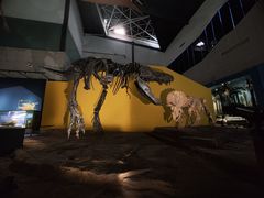 -湖南省地质博物馆