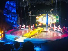 -重庆国际马戏城