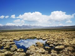 -花湖生态旅游区