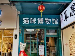 -猫咪博物馆(顶澳仔猫街店)
