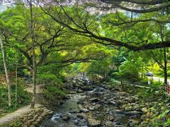 -广州市石门国家森林公园