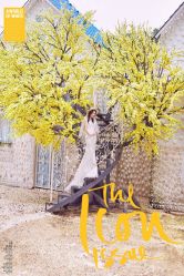 点击看大图 -太古映画婚纱摄影(天河店)