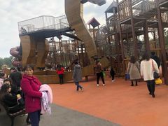 -枫香湖儿童公园