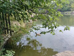 -白马涧龙池景区