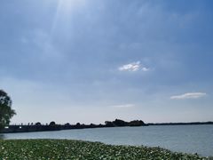 -贡湖湾湿地公园