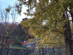 -阳台山自然风景区