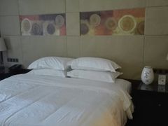 -长白山万达喜来登度假酒店