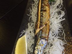 -春草居酒屋·晴子の店