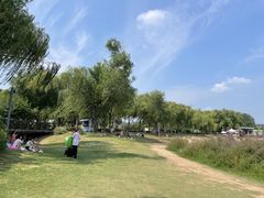 -北龙湖湿地公园