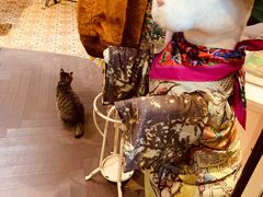 -恋物百货商店(华侨城店)