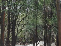 -火炉山森林公园