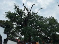 -新安江山水画廊风景区