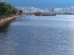 -洱海月湿地公园
