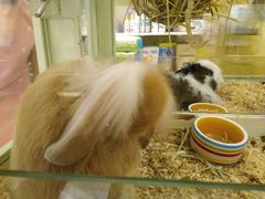 -龙猫仔乐园(惠福东路店)