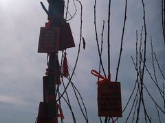 -仁寿山