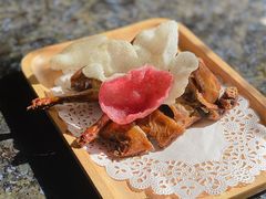 沙田乳鸽-菲乐餐厅(三十年经营·湖滨路店)