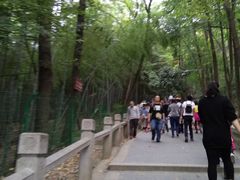 -灵岩山风景区
