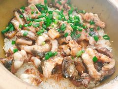 白鳝黄鳝双拼-红星光发煲仔饭(文海店)