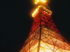 -东京塔海贼王主题公园