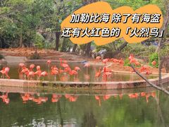 -广州动物园