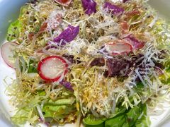 -喜悦烤鸭·新京菜(王府井店)