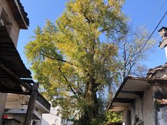 -西溪南古村落