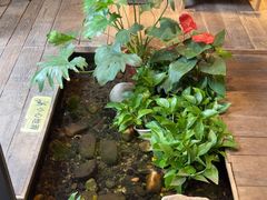 -邈墨茶馆(大兜路1号店)