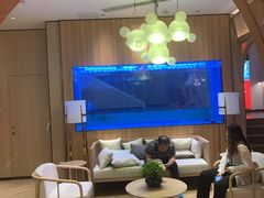 -解家河南菜(商鼎路店)