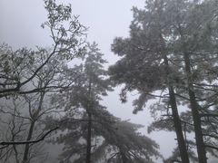 -九华山风景区