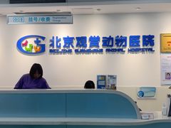 -北京观赏动物医院·24小时大型综合·猫专科·异宠专科