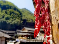 -林坑古村落
