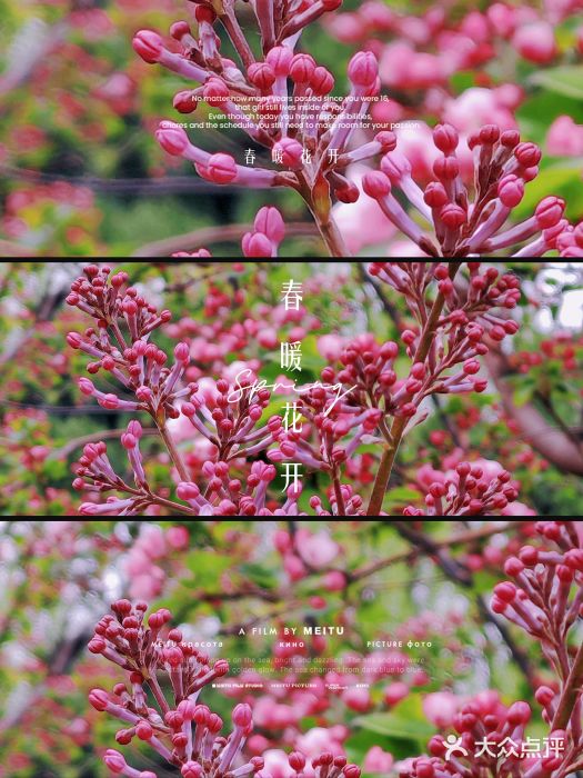 元大都城垣遗址公园图片