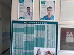-中农国际动物医院24小时·猫科·骨科·急重症中心