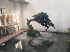-觀芷隐轩