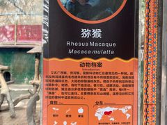 -深圳野生动物园