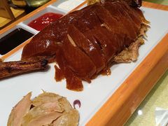 -新侨小馆(东直门北小街店)