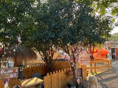 -HERRE·FARM 赫尔露营农场·团建聚会包场